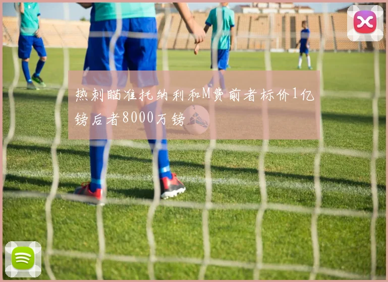 热刺瞄准托纳利和M费前者标价1亿镑后者8000万镑
