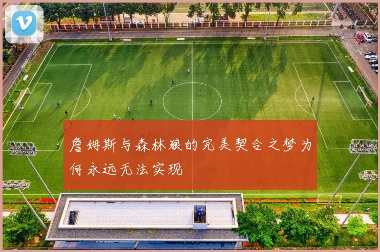 詹姆斯与森林狼的完美契合之梦为何永远无法实现